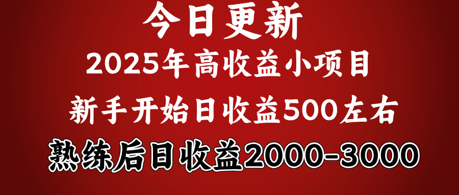 2025开年好项目，新手日收益500+ 熟练掌握后，日收益平均2000多插图