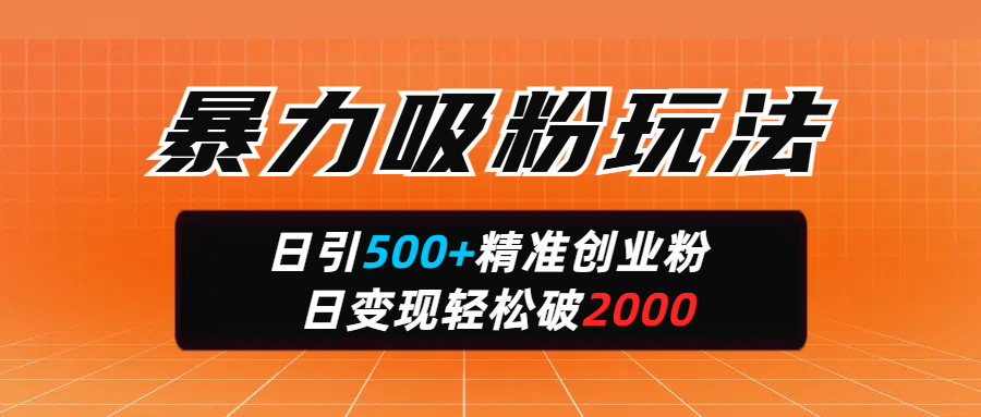 暴力吸粉玩法，日引500+精准创业粉，日变现轻松破2000