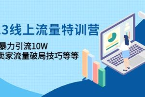 2023线上流量特训营：中小卖家流量破局技巧等等