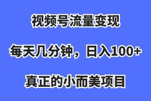 视频号流量变现，每天几分钟，收入100+，真正的小而美项目