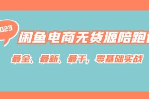 闲鱼电商无货源陪跑课，最全、最新、最干，零基础实战！