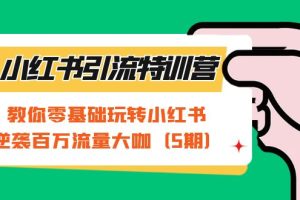 小红书引流特训营-第5期：教你零基础玩转小红书，逆袭百万流量大咖