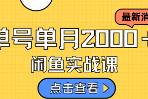 咸鱼虚拟资料新模式，月入2w＋，可批量复制，单号一天50-60没问题 多号多撸