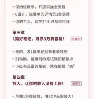 小红书·捡钱课 发发笔记月挣1.5w+不做图 不发货 1周就见效(个人篇+企业篇)