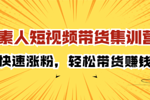 素人短视频带货集训营：快速涨粉，轻松带货赚钱