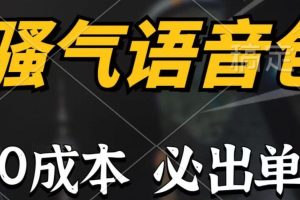 骚气语音包，0成本一天1000+，闭着眼也能出单，详细教程！