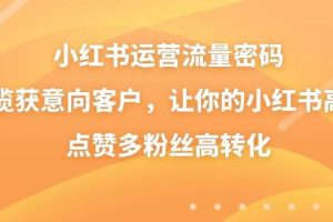 小红书运营流量密码，揽获意向客户，让你的小红书高点赞多粉丝高转化