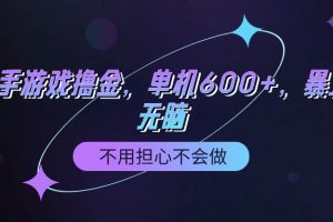 快手游戏100%转化撸金，单机600+，不用担心不会做