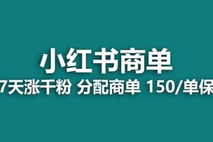 【蓝海项目】2023最强蓝海项目，小红书商单项目，没有之一！