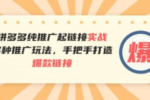 拼多多纯推广起链接实战：多种推广玩法，手把手打造爆款链接