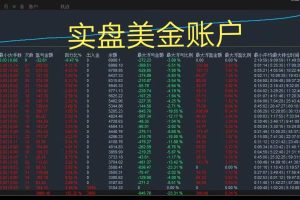 【高端精品】量化全自动挂机项目，单号一天50起【详细教程】