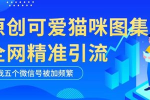 黑科技纯原创可爱猫咪图片，全网精准引流，实操5个VX号被加频繁