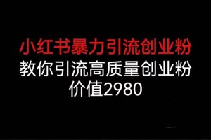 小红书暴力引流创业粉，教你引流高质量创业粉，价值2980