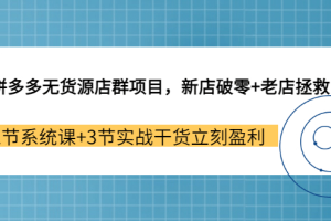 拼多多无货源店群项目，新店破零+老店拯救 12节系统课+3节实战干货立刻盈利