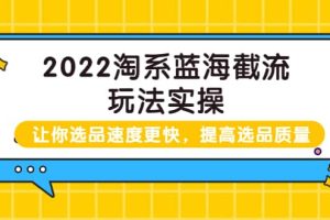 2022淘系蓝海截流玩法实操：让你选品速度更快，提高选品质量（价值599）