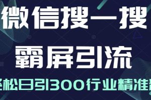 微信搜一搜霸屏引流课，打造被动精准引流系统，轻松日引300行业精准粉【无水印】