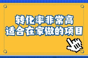 小红书虚拟电商项目：从小白到精英（视频课程+交付手册）