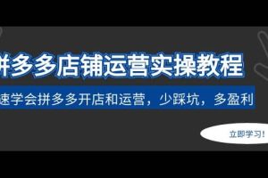 拼多多店铺运营实操教程：快速学会拼多多开店和运营，少踩坑，多盈利