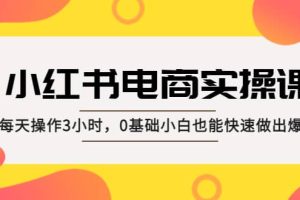 小红书·电商实操课：每天操作3小时，0基础小白也能快速做出爆款