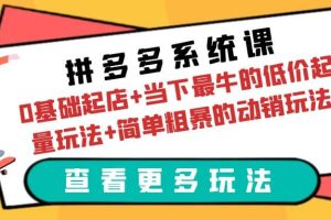 拼多多系统课：0基础起店+当下最牛的低价起量玩法+简单粗暴的动销玩法