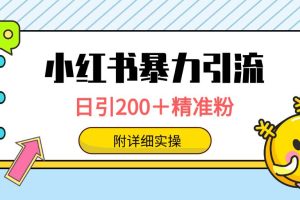 小红书暴力引流大法，日引200＋精准粉，一键触达上万人，附详细实操