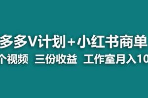 【蓝海项目】多多v计划+小红书商单 一个视频三份收益 工作室月入10w打法