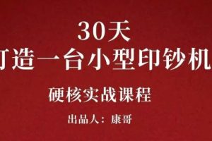 康哥30天打造一台小型印钞机：躺赚30万的项目完整复盘（视频教程）