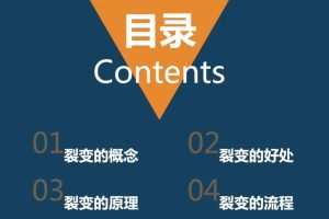 「粉丝裂变训练营」0-1-1w爆发式增长，24小时不断的涨粉-睡觉也在涨-16节课