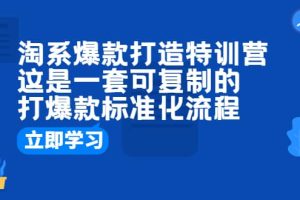 淘系爆款打造特训营：这是一套可复制的打爆款标准化流程