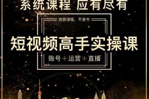 短视频高手实操课：账号+运营+直播，从入门到精通，系统课程，应有尽