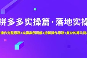 拼多多实操篇·落地实操 完整思路+实操案例+拆解操作思路+复杂的算法简单化