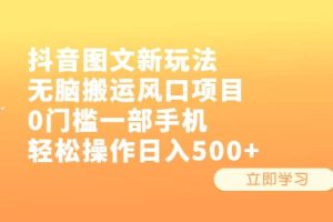 抖音图文新玩法，无脑搬运风口项目，0门槛一部手机轻松操作日入500+