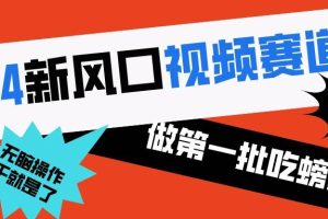 2024新风口视频赛道 做第一批吃螃蟹的人 10分钟一条原创视频 小白无脑操作1