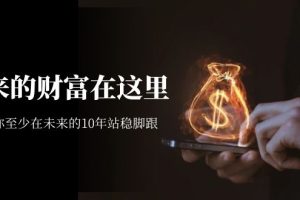 某收费文章《未来的财富在这里》能让你至少在未来的10年站稳脚跟