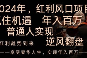 2024红利风口项目来袭，享受第一波红利，逆风翻盘普通人也能实现，年入百万