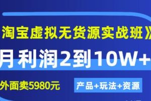 《淘宝虚拟无货源实战班》线上第四期：月利润2到10W+（产品+玩法+资源)