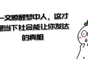 某公众号付费文章《一文 惊醒梦中人，这才是当下社会能让你发达的真相》