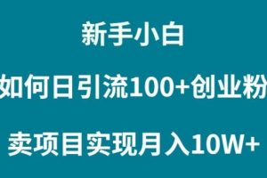 新手小白如何通过卖项目实现月入10W+