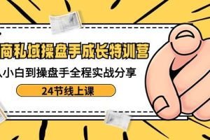 电商私域-操盘手成长特训营：从小白到操盘手全程实战分享-24节线上课