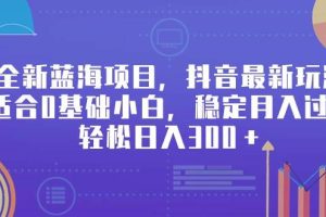 全新蓝海项目，抖音最新玩法，适合0基础小白，稳定月入过万，轻松日入300＋