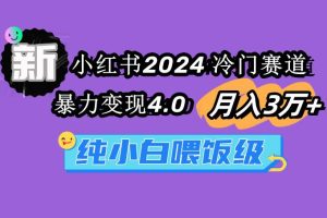 小红书2024冷门赛道 月入3万+ 暴力变现4.0 纯小白喂饭级