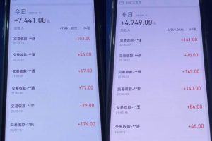 利用淘宝公域+私域差价掘金，日赚1000-5000元，工作室可放大操作，实操…