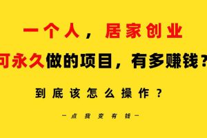 一个人，居家创业：B站每天10分钟，单账号日引创业粉100+，月稳定变现5W…