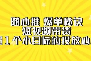 随心推 爆单秘诀，短视频带货-超1个小目标的投放心得（7节视频课）