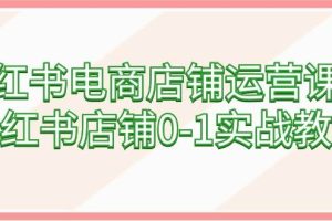 小红书电商店铺运营课程，小红书店铺0-1实战教学（60节课）