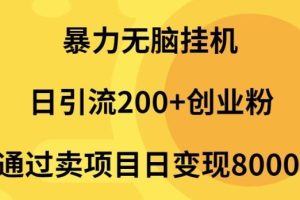 暴力无脑挂机日引流200+创业粉通过卖项目日变现2000+