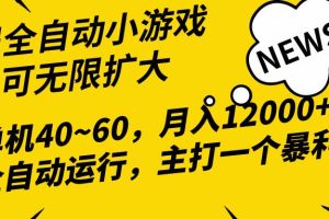 2024最新全网独家小游戏全自动，单机40~60,稳定躺赚，小白都能月入过万