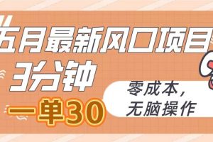 五月最新风口项目，3分钟一单30，零成本，无脑操作