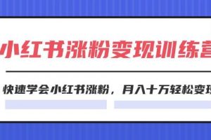 2024小红书涨粉变现训练营，快速学会小红书涨粉，月入十万轻松变现(40节)