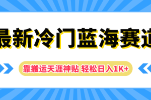 最新冷门蓝海赛道，靠搬运天涯神贴轻松日入1K+